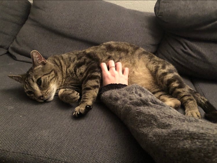 277219820_298715792233890_6413437682816291474_n