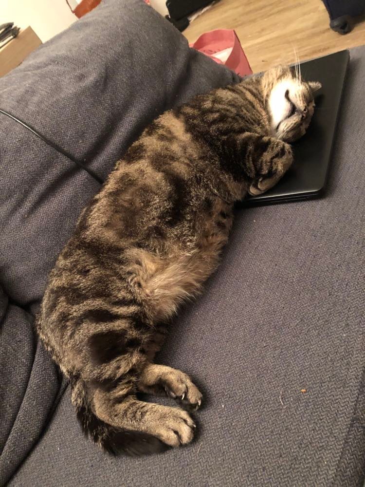 277251066_501430344950457_7907126258879077140_n