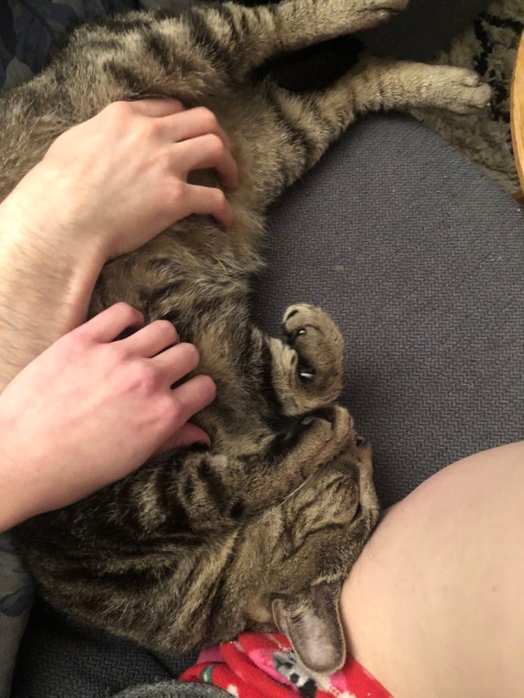 277255524_462284115648048_8906012800235245821_n