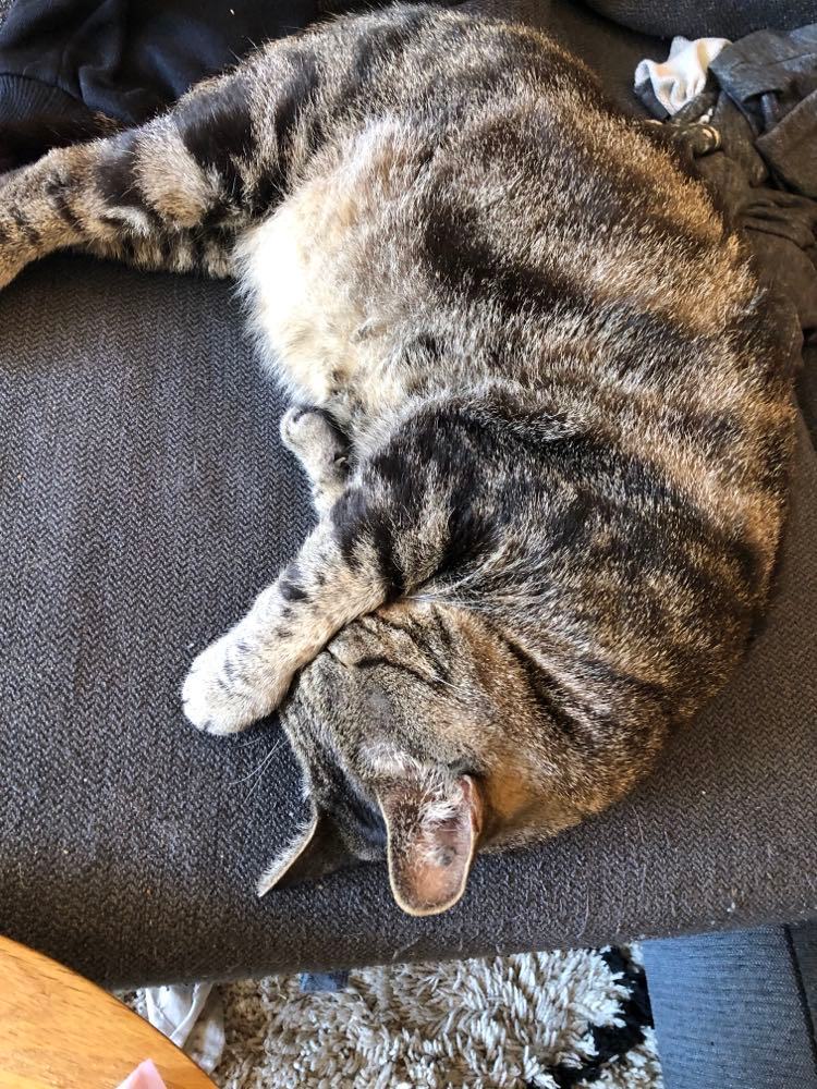 277255887_3138420556485097_8815873369586160236_n