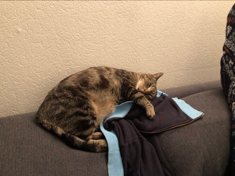 277256110_310646257837560_3767791896929420058_n