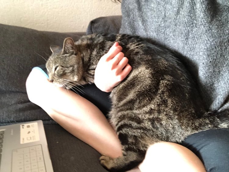 277256110_709318450418469_6394359138589085222_n