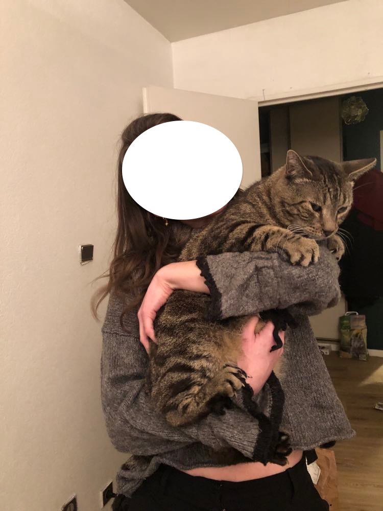 277354833_681938502997551_4201729057671873933_n