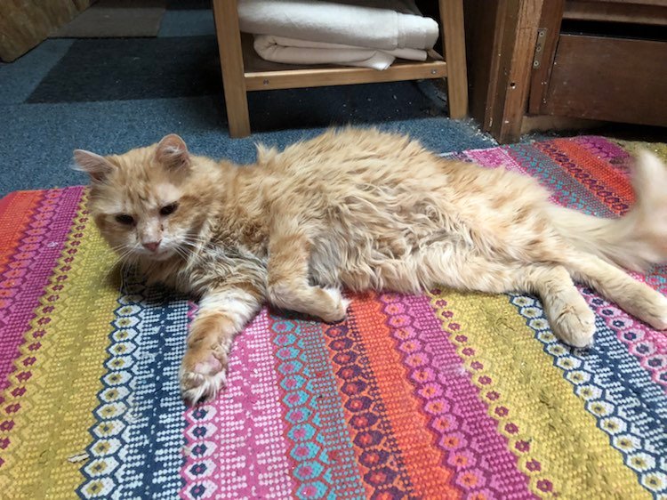 277596681_271396828524266_4391067508720813215_n