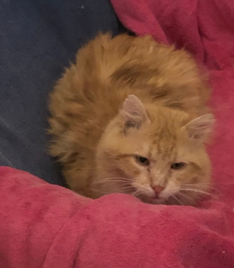 277611522_300180118854696_7055705111631209551_n