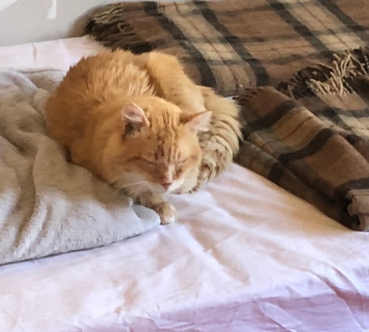 277682983_407234097792900_1553838162542835501_n