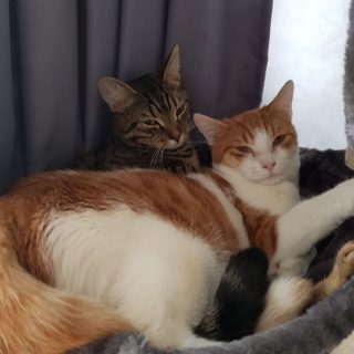 Photo de Zephyrs et Oxana