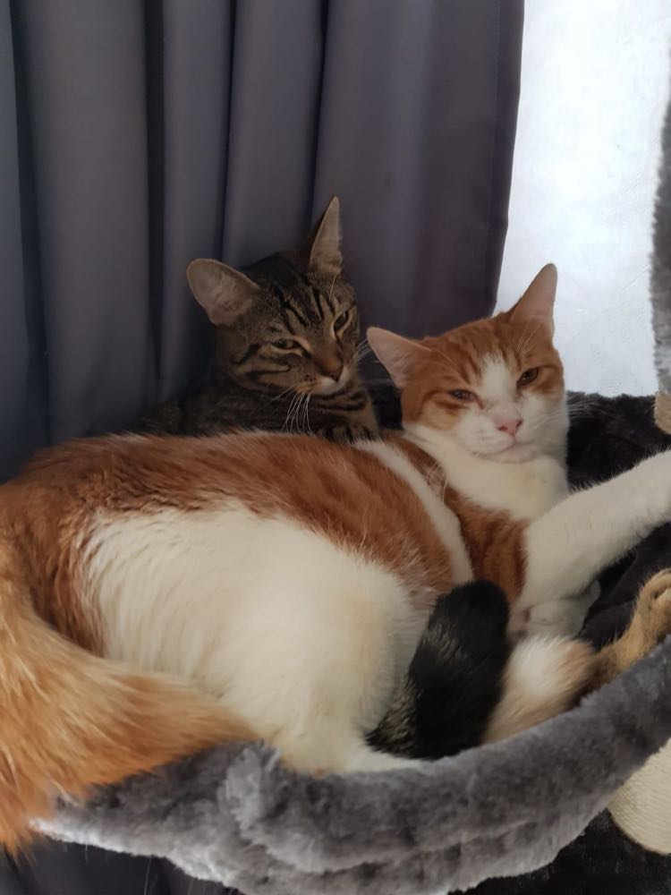 278230349_2158918564285025_575306534533243270_n