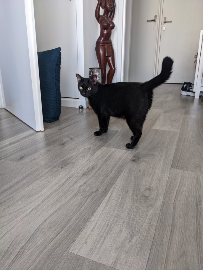 278653049_1186836202233217_8449499883274598005_n