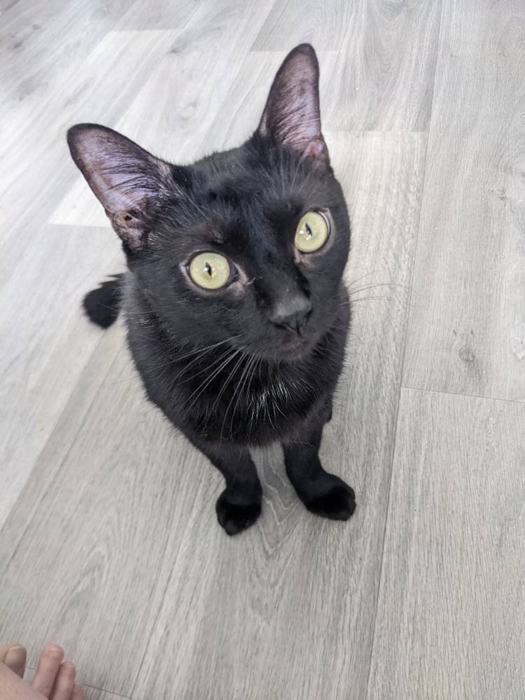 278817149_527494895759480_5492880848082562561_n