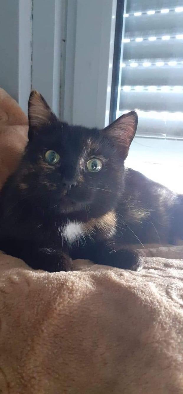 279206085_384548736893421_534593426127538206_n