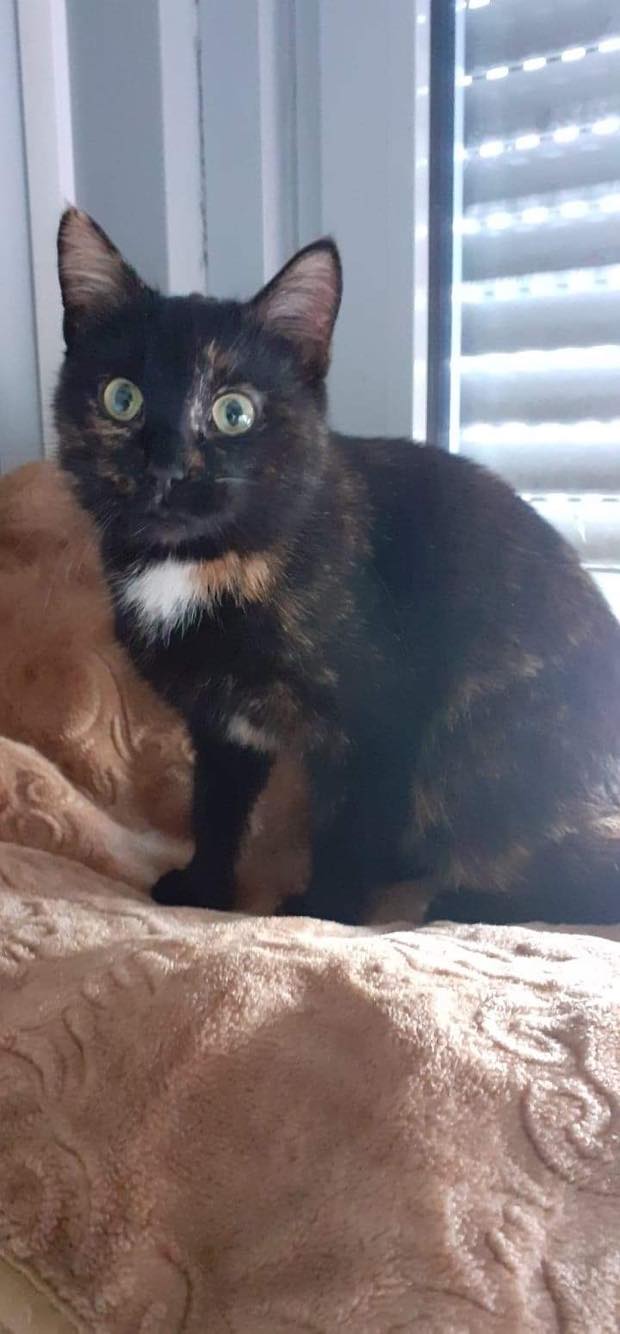 279443696_379712874080141_691812835173151256_n