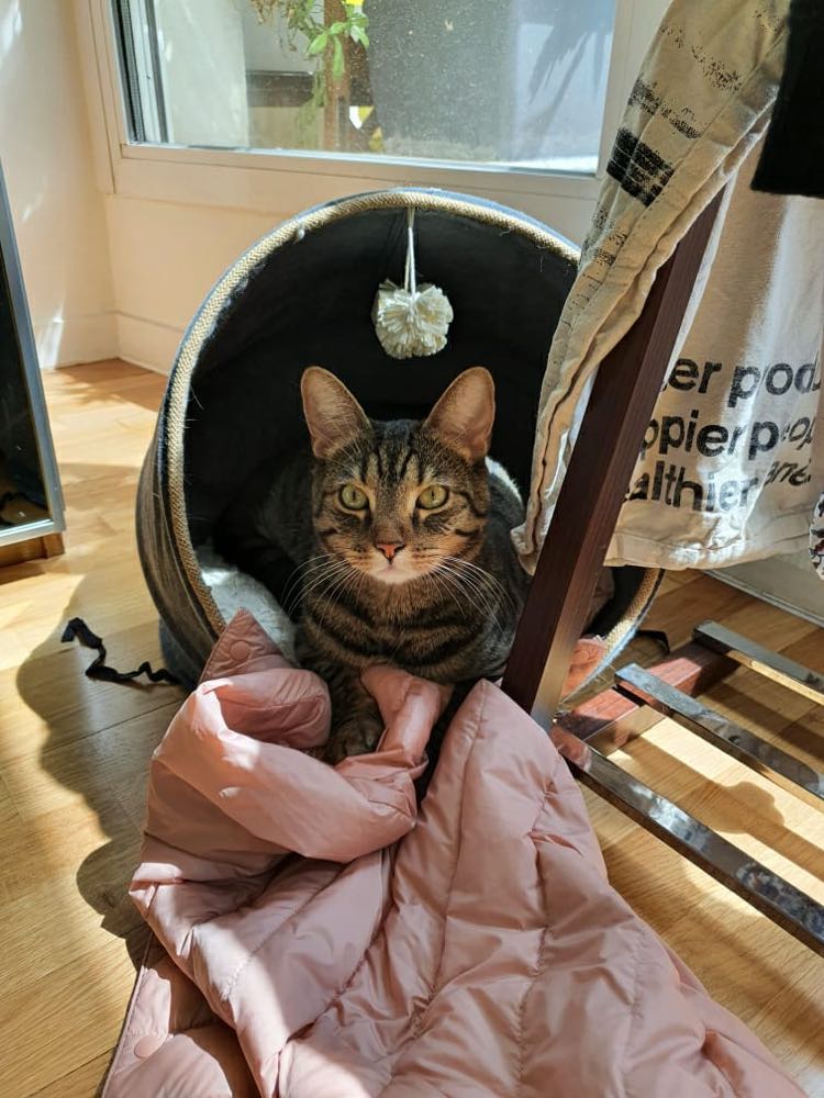 280942246_671476224151215_6746800786330872927_n