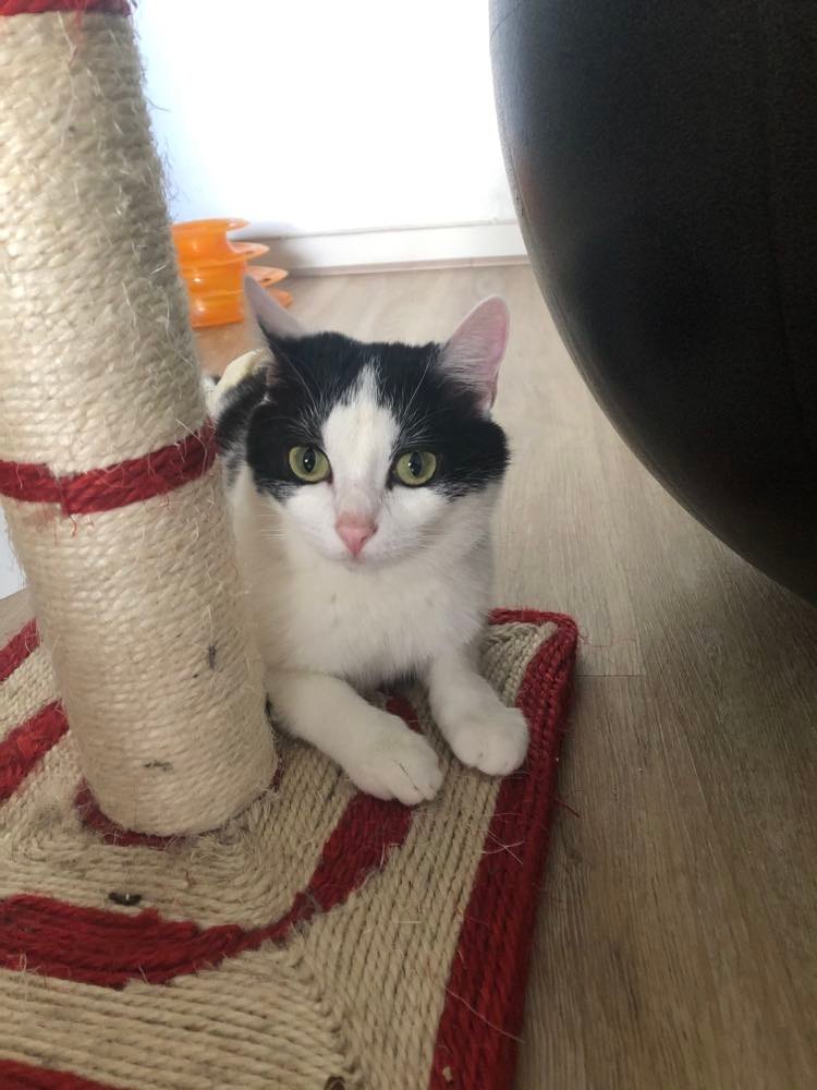 281689761_768464371175008_8511717313172944347_n