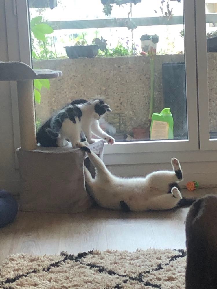 281727145_329400585935203_5427075513993342318_n