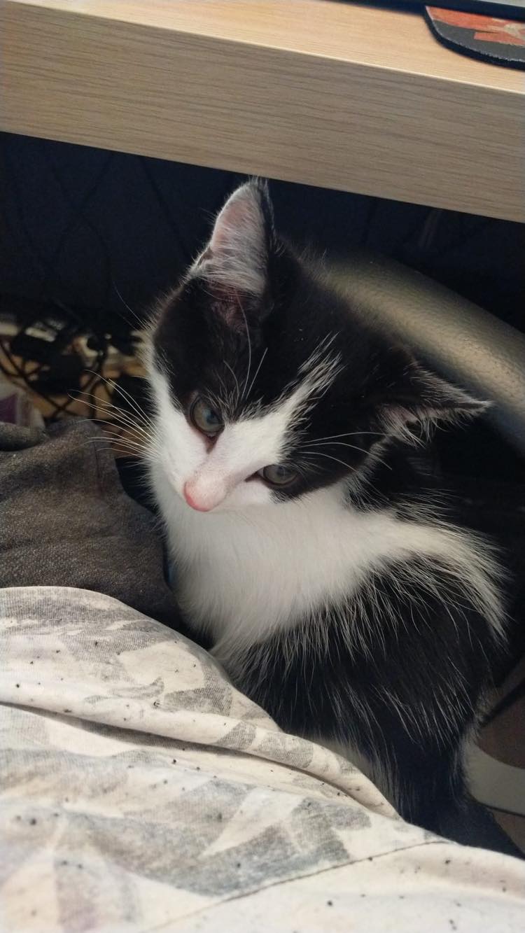 281752133_692603108489152_7302289769398871988_n-1