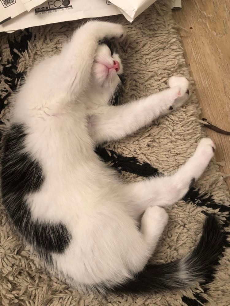 281799439_2885717081733934_4167845677186300707_n-1