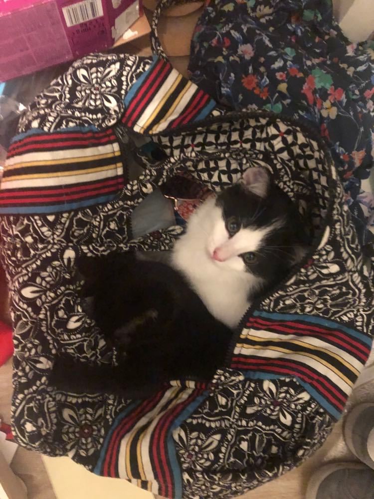 281813871_774170647324990_4855005946423029530_n-3