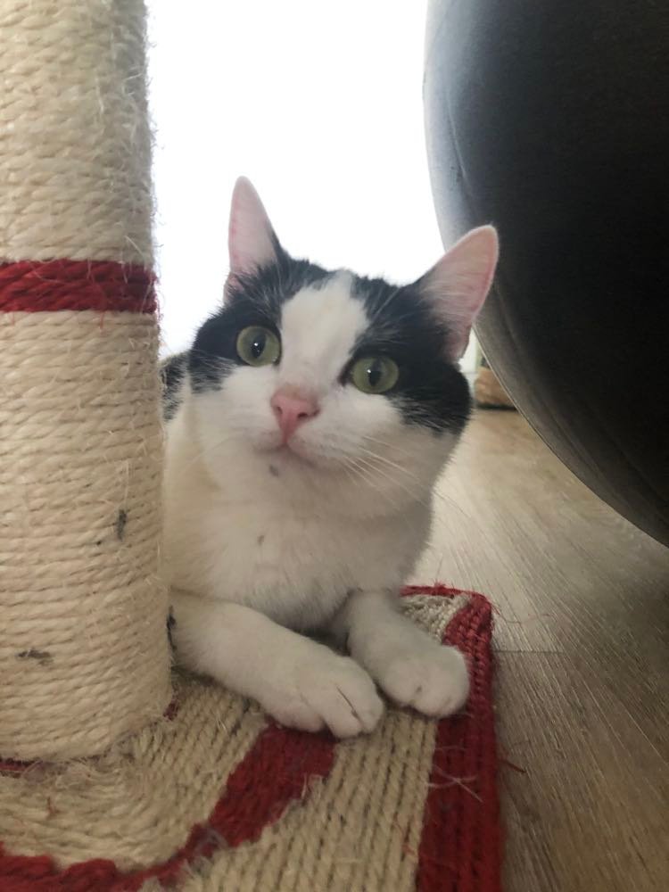 282615679_512470143910770_4109645089725367825_n-1