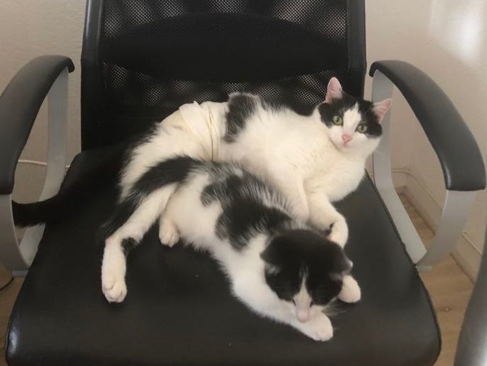 283289294_2133268510177807_1484989218177541043_n-1