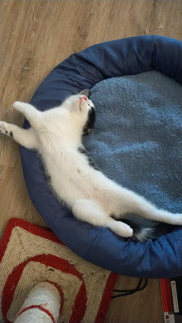 283300812_723901498735220_4530764943517724161_n-1