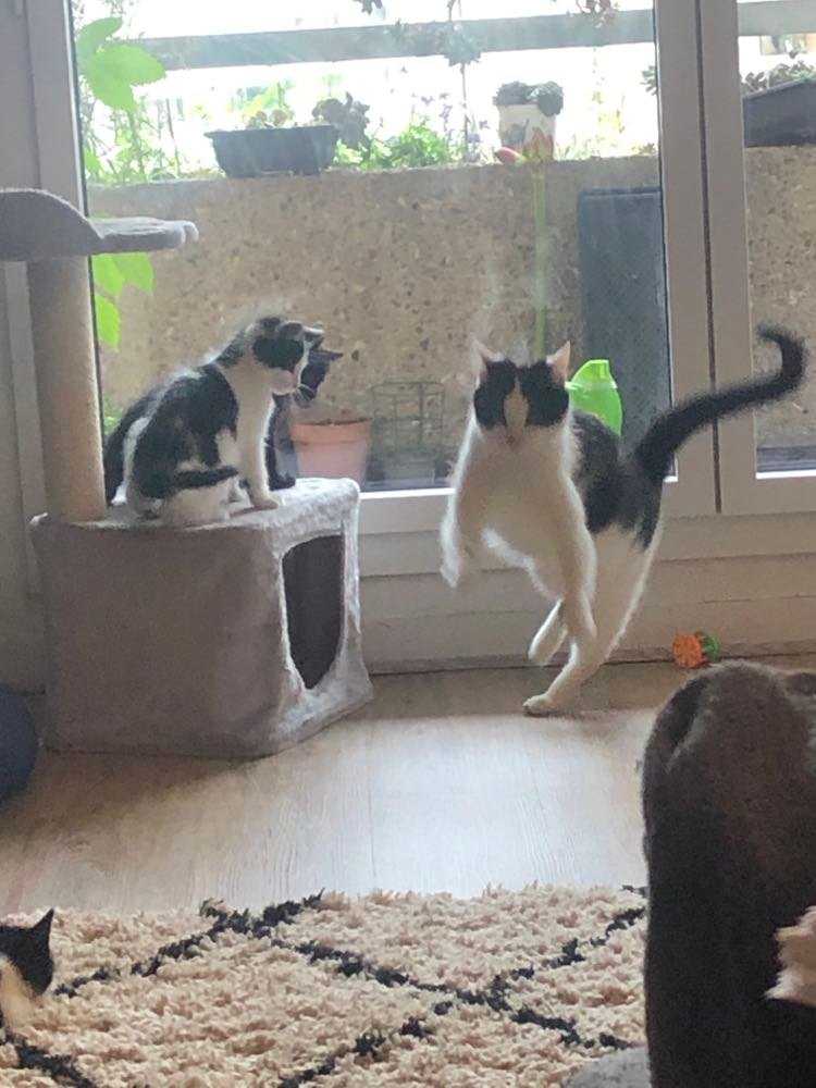 283309889_1103556693557667_572142795618990990_n-1