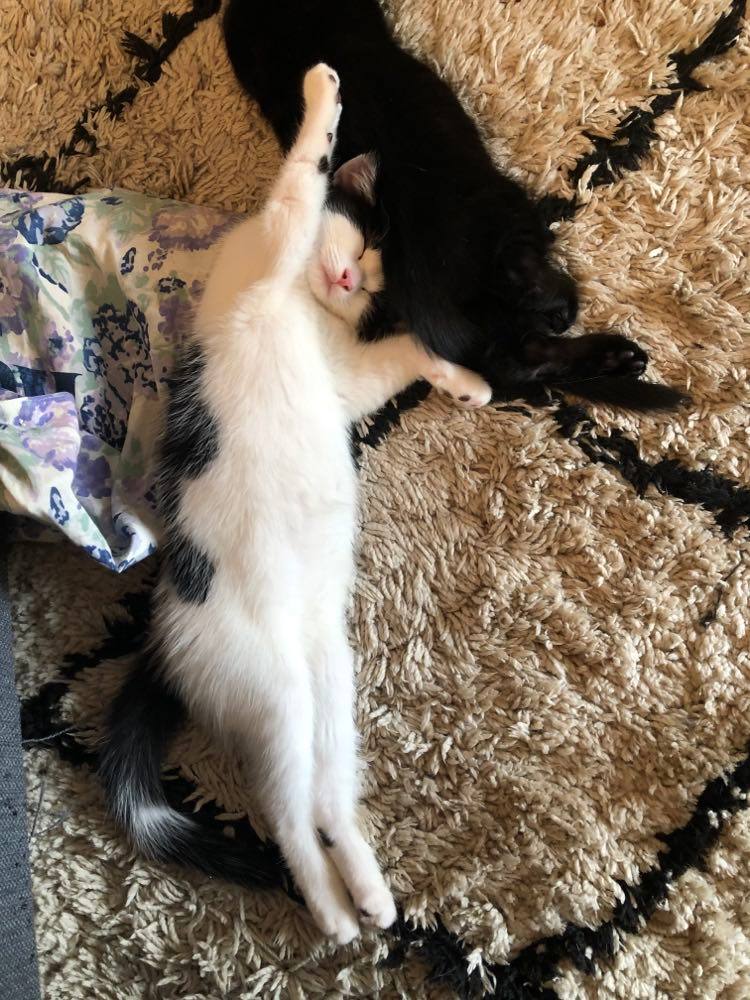 283315087_539425104504714_1653046651227677453_n-1