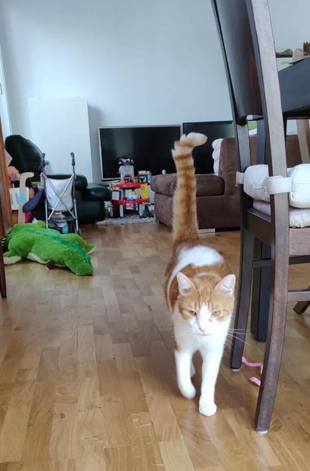 283359574_853347952734485_1226246436346830708_n