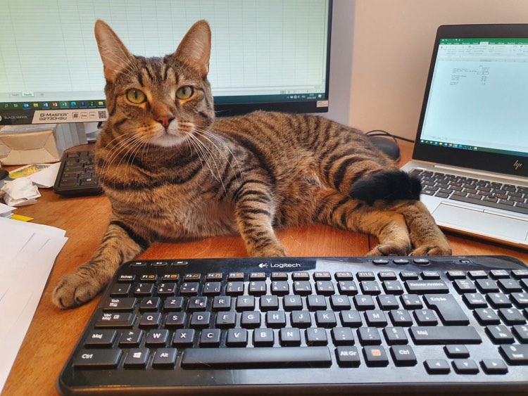 283454264_5409294709133319_3046847945206415447_n