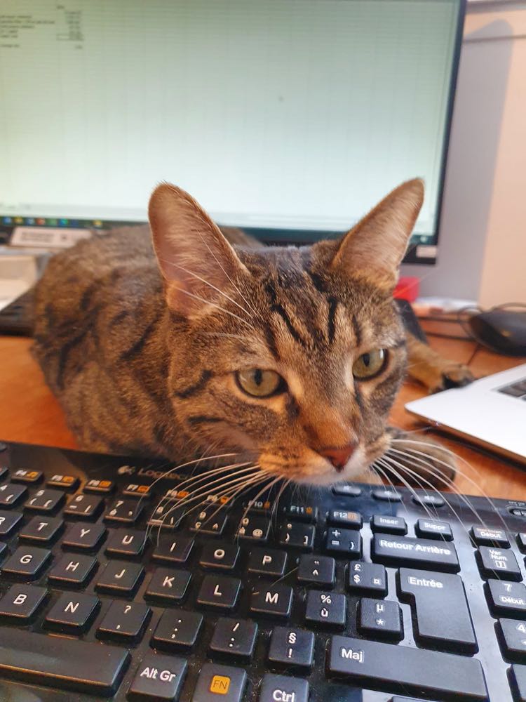 283540287_1049406429007462_6101378119913553528_n