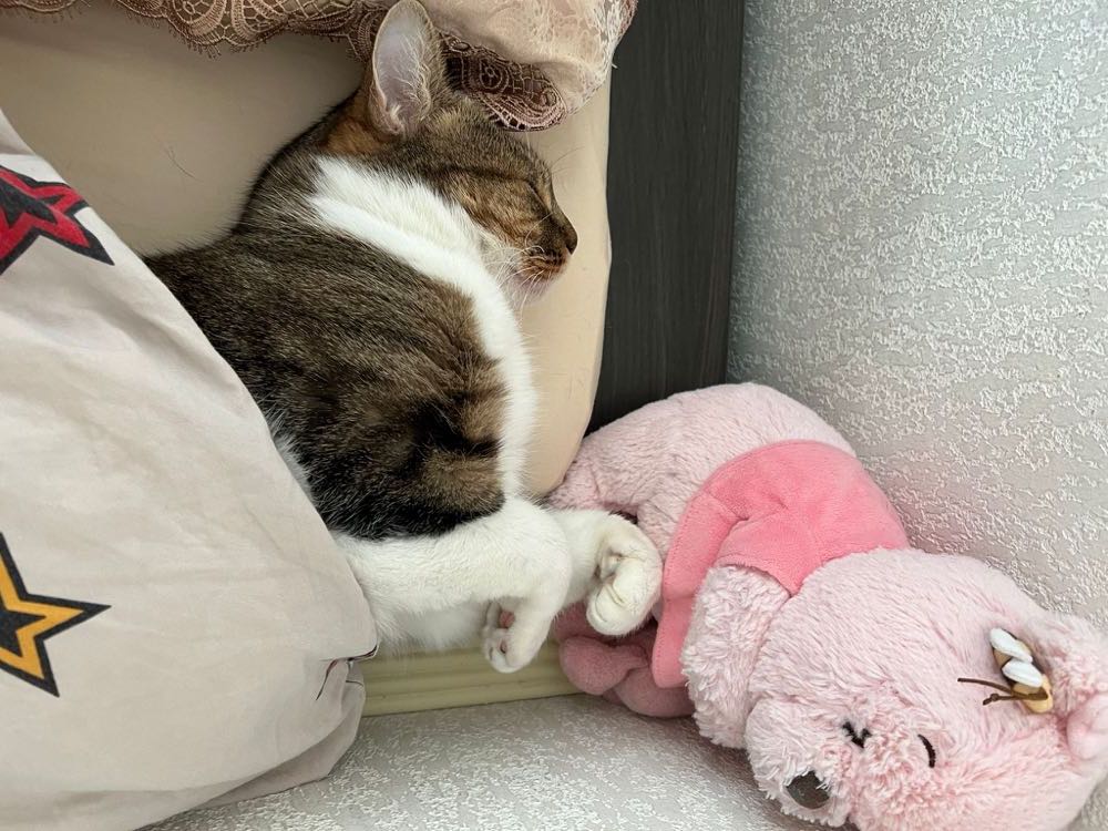 284418965_567178541673830_7700274899169342457_n