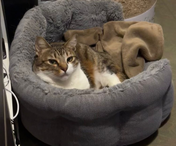 284647593_1016331385916932_1705586321938155923_n