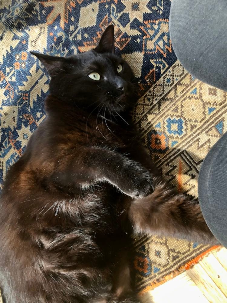 285380853_771173737376748_4341418851342199214_n