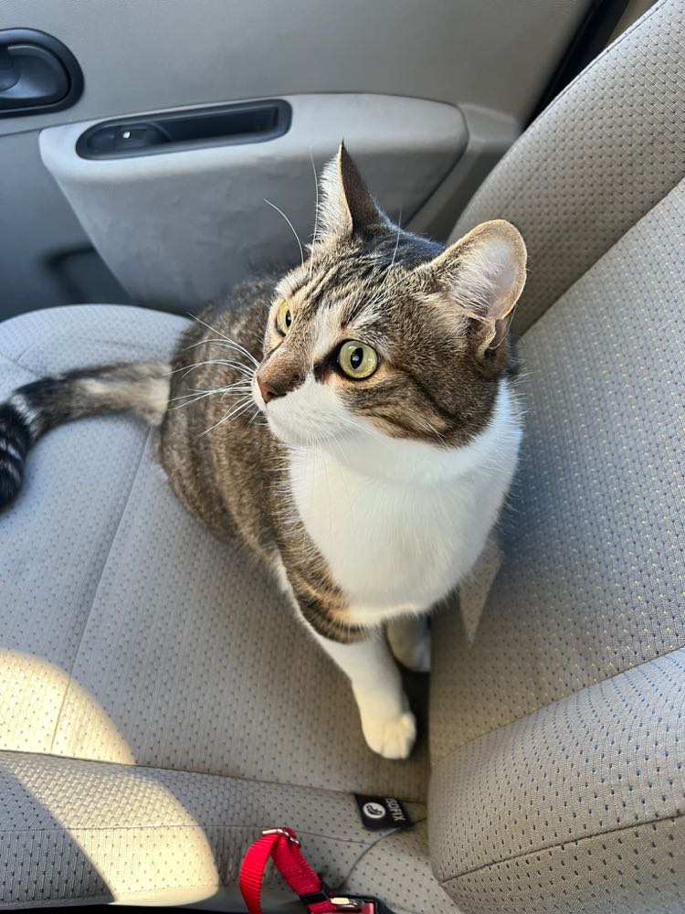 285813407_5020875944677014_7189468094850965012_n