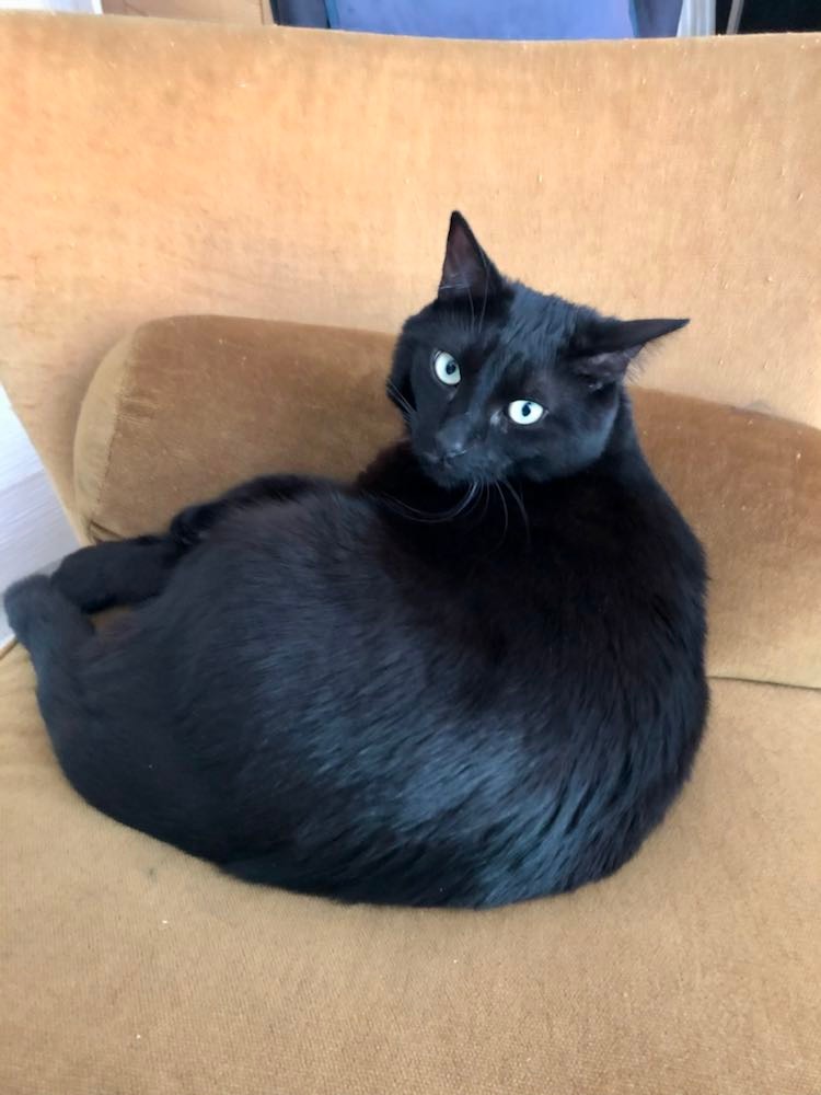 286138975_1005103650196083_1430609122631546706_n