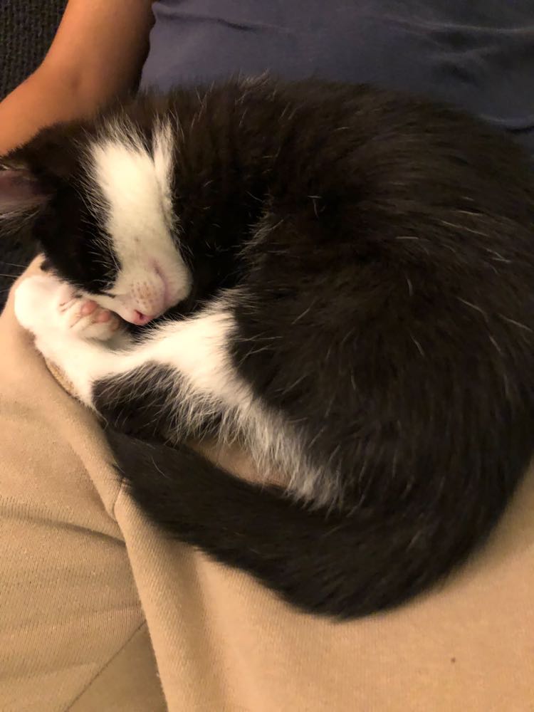 286179846_550639336598465_4928598776618103062_n