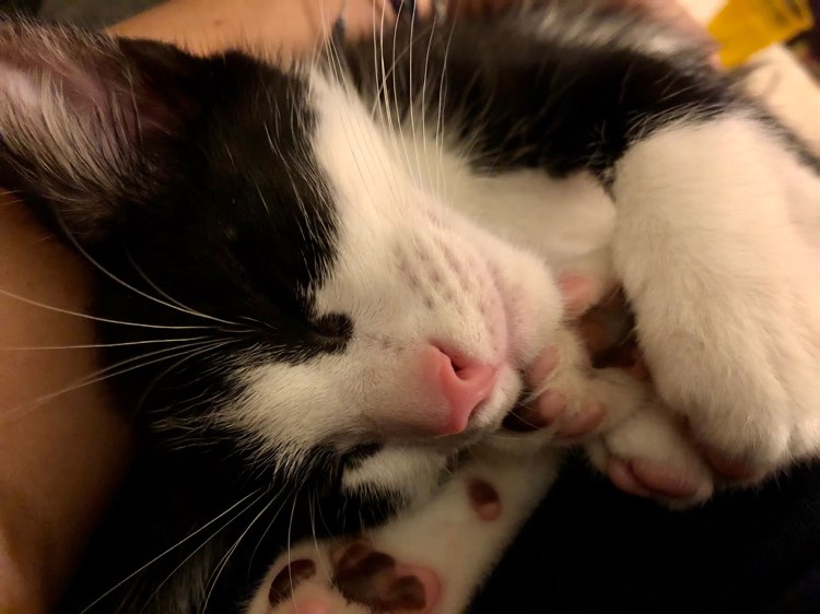 286218085_1467636530322134_8154614246763875178_n