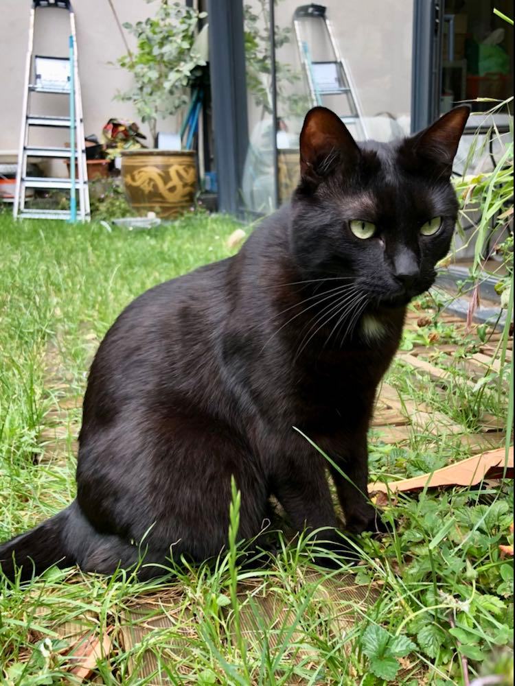 286376998_1071451480458926_5637962876278504751_n