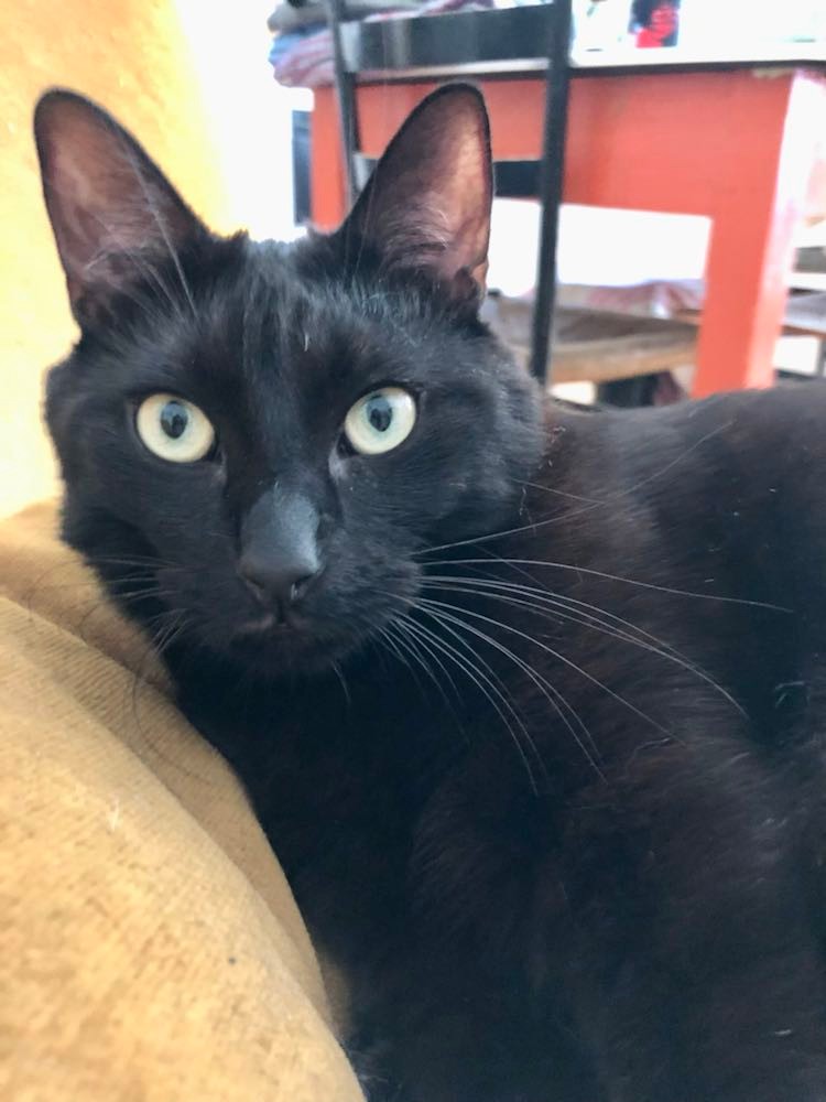 286509478_5230836113670431_8540128531779563607_n