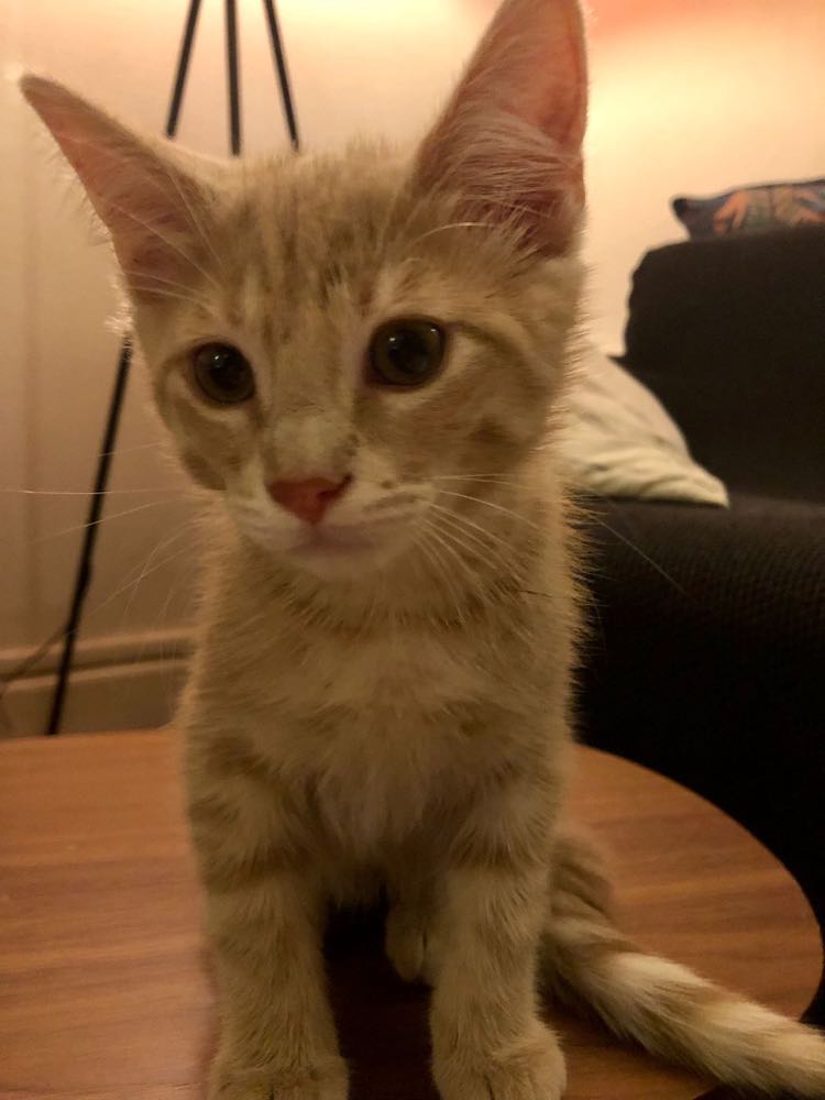 286822326_907250260672950_5168682625710380890_n