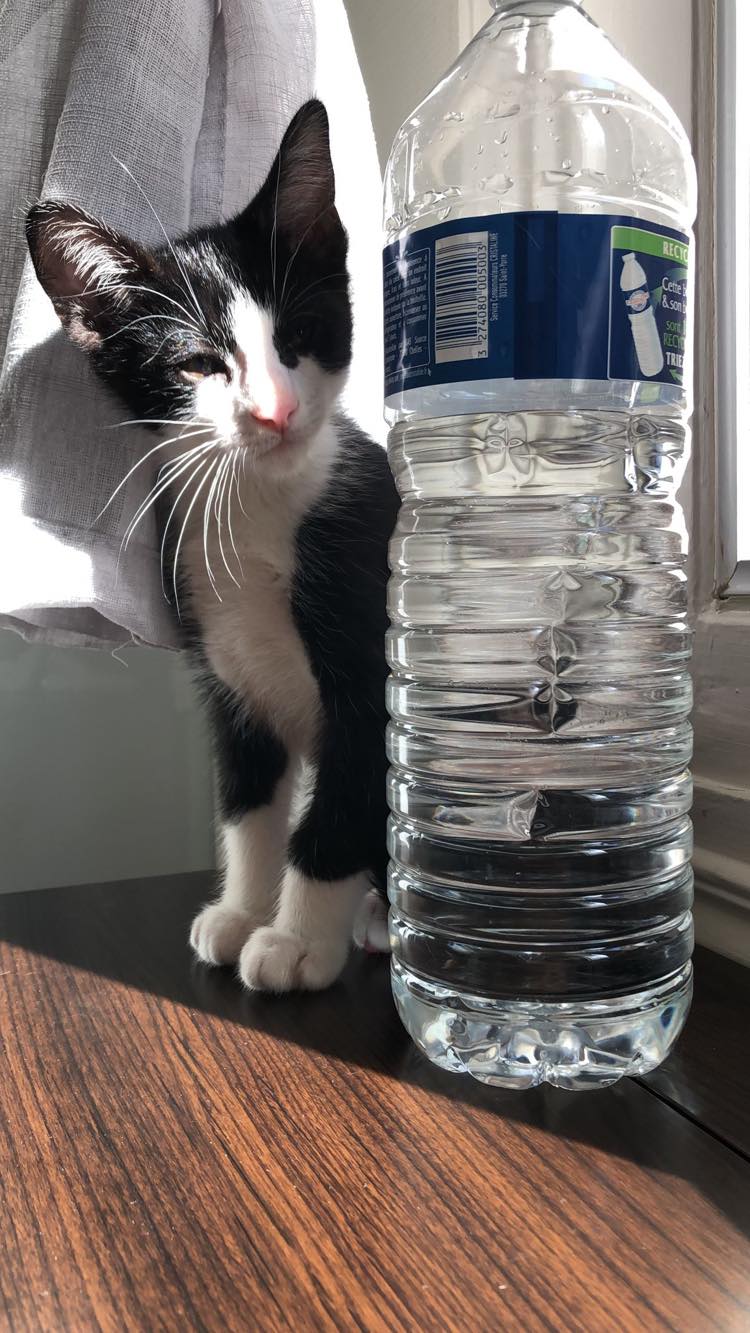 286969653_1227294641373529_143802503920403242_n