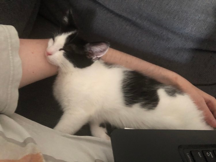 286994477_423593409619230_4596596438592917036_n