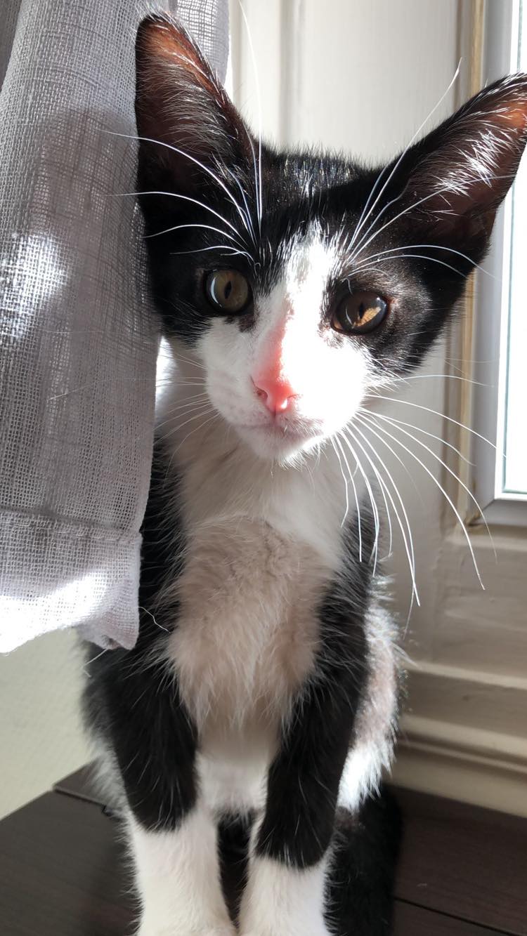 287097089_725475802015820_4430082097897619070_n