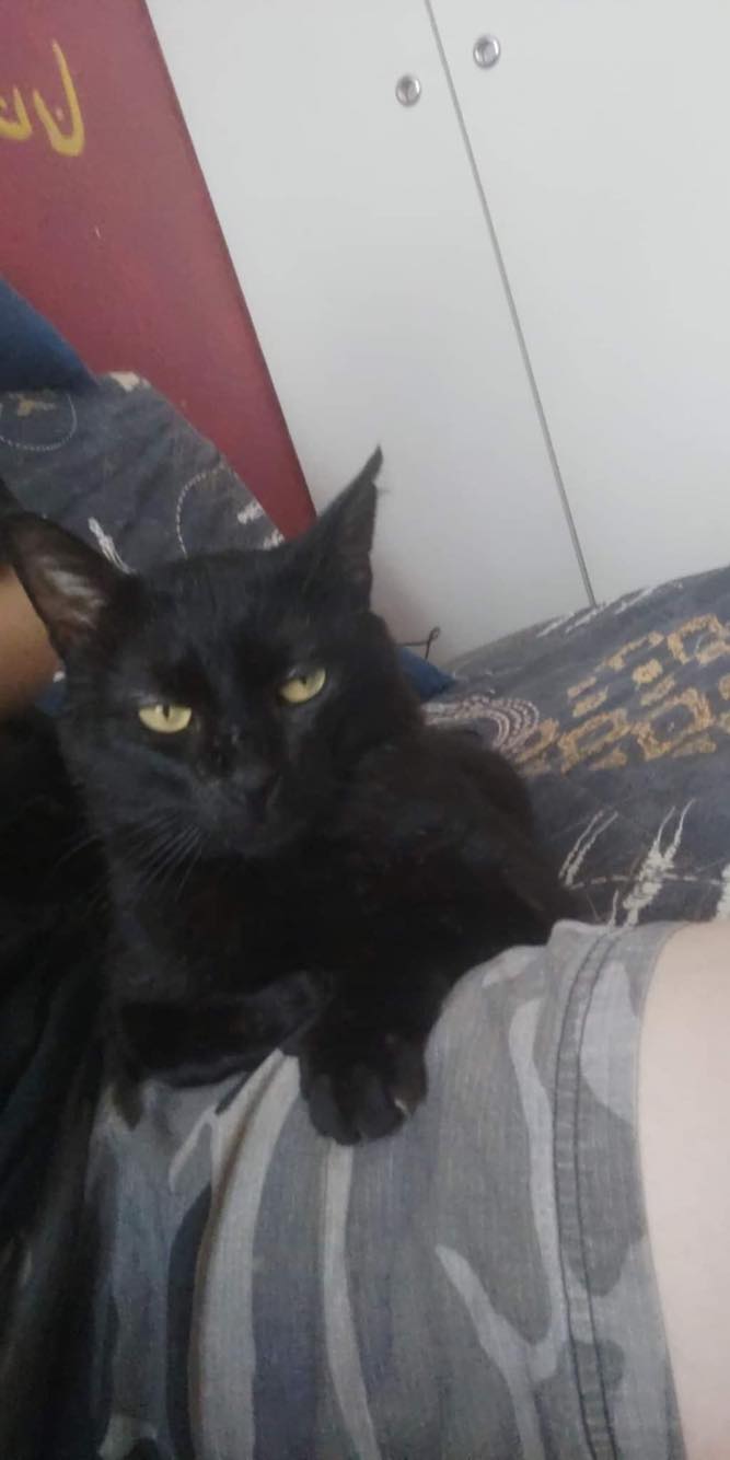 287111554_553268163013783_5500103046318802150_n