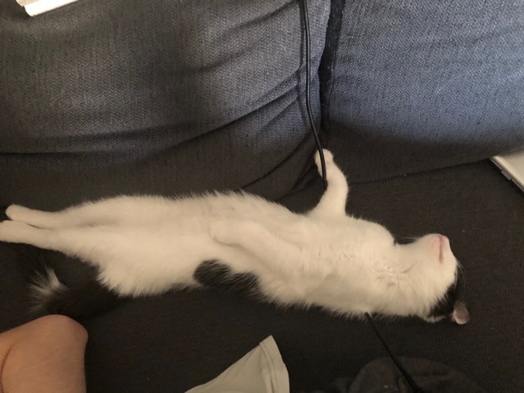 287113725_411545717551309_7609510129685418381_n