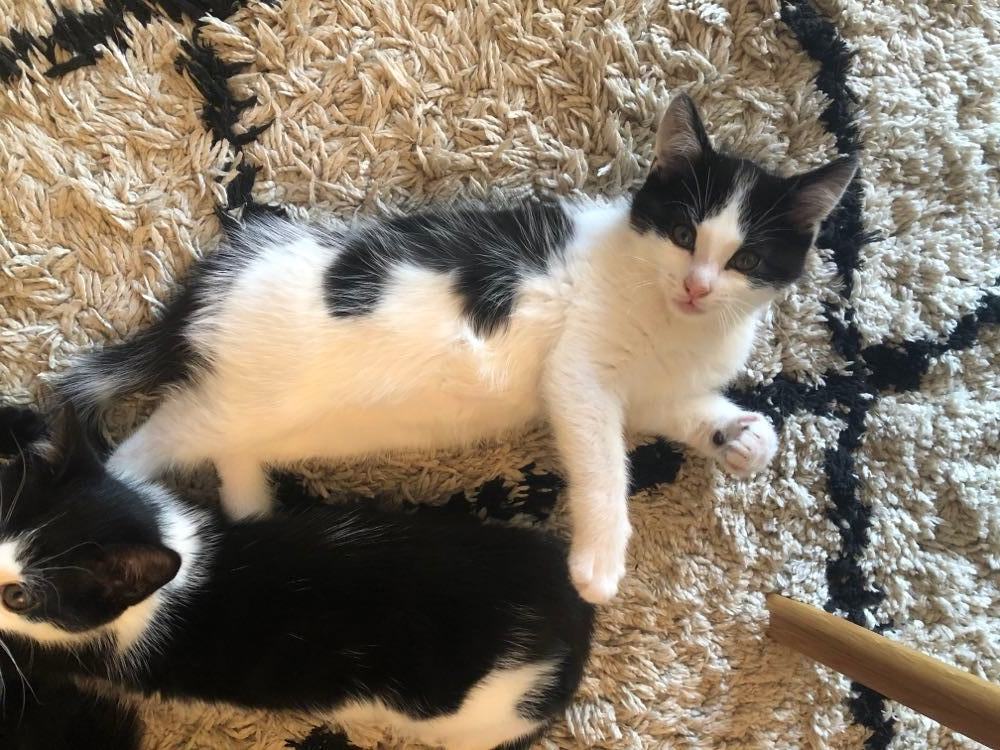 287174312_727524101729293_7840226631316257938_n