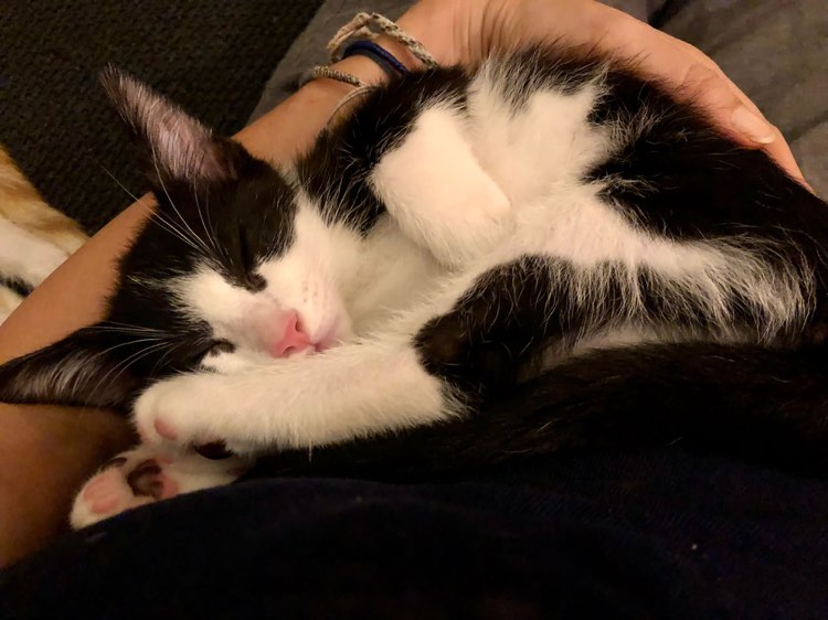 287180721_3024347061116295_8146987908972375775_n