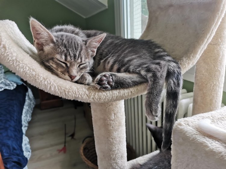 287463376_440411650889277_2796235550404139871_n-1