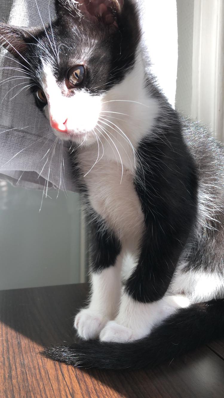 287606509_1164135747762929_8851540310358059863_n