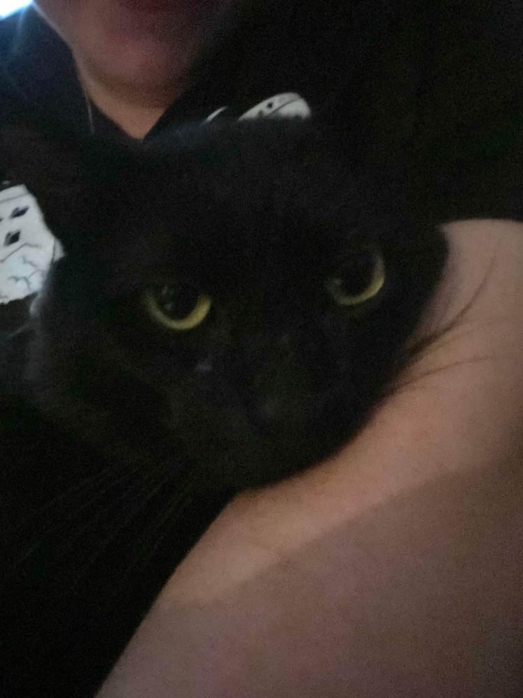 287833551_729497624867013_7377297365072377898_n